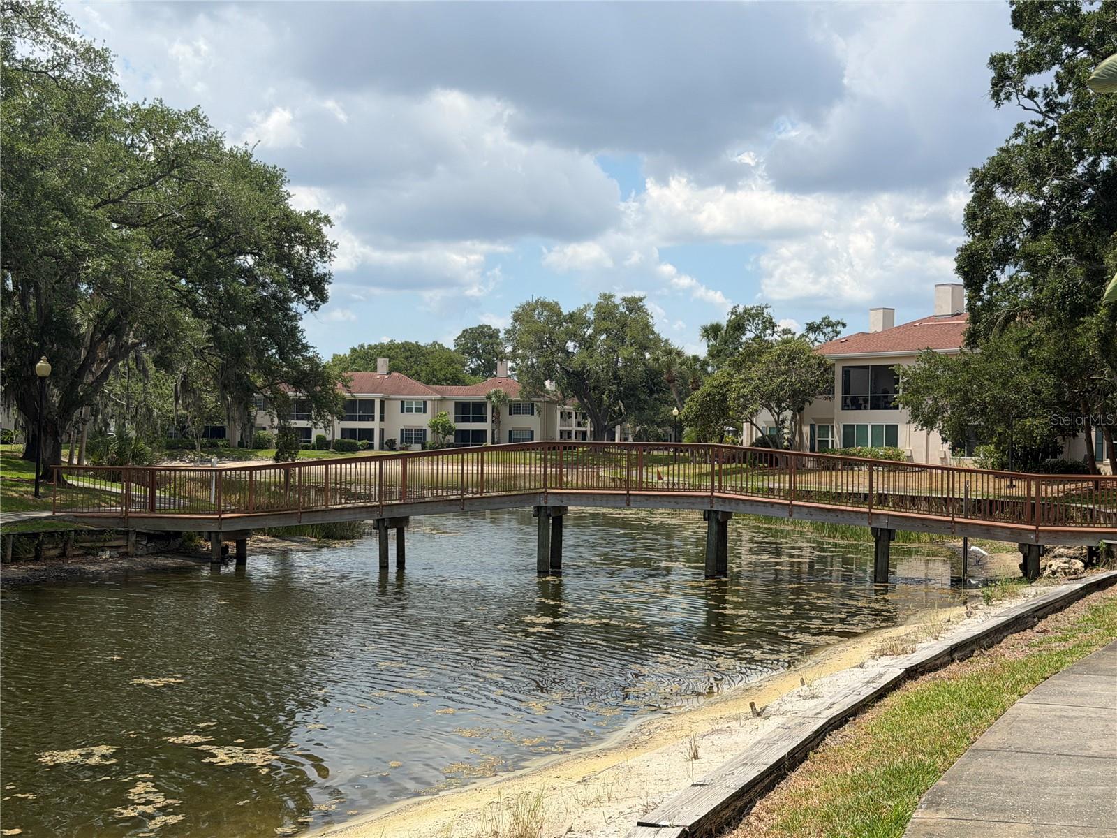10335 CARROLLWOOD LN #116, TAMPA, FL — photo 18