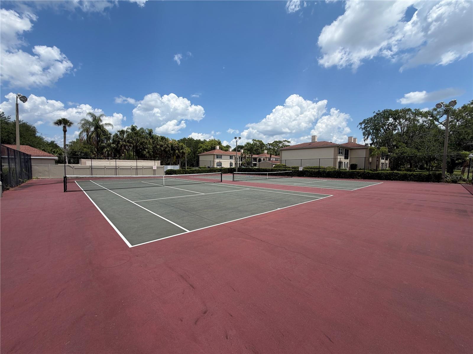 10335 CARROLLWOOD LN #116, TAMPA, FL — photo 20