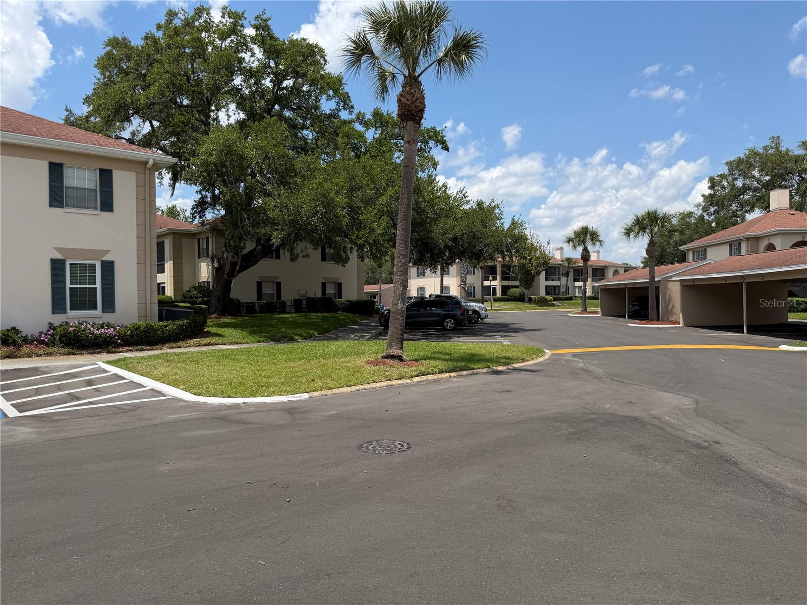 10335 CARROLLWOOD LN #116, TAMPA, FL — photo 27