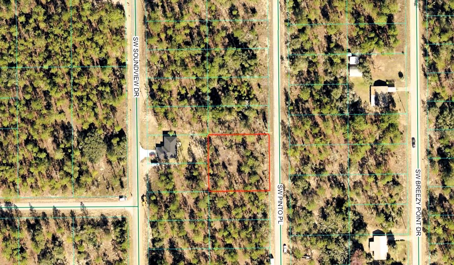 SW PINTO PL, DUNNELLON, FL