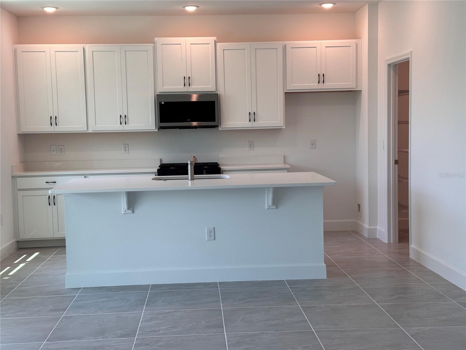 4299 LAUREL SITE LOOP, APOPKA, FL — photo 5