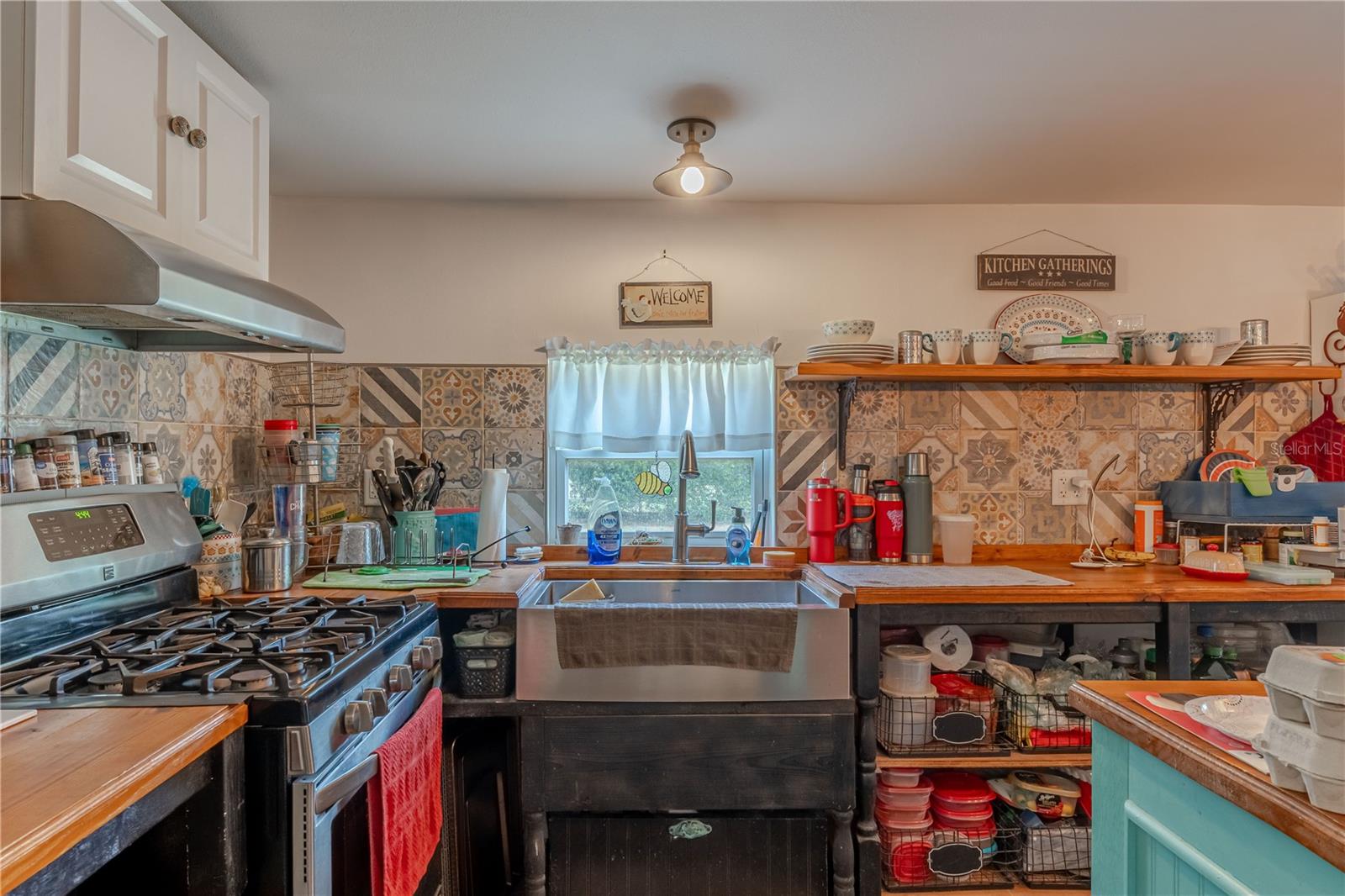 4536 EMPIRE CHURCH RD, GROVELAND, FL — photo 18