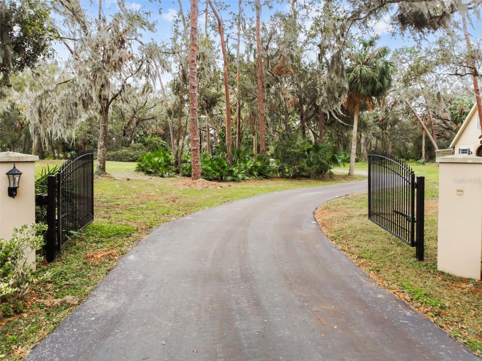 12709 MANNHURST OAK LN, LITHIA, FL — photo 2