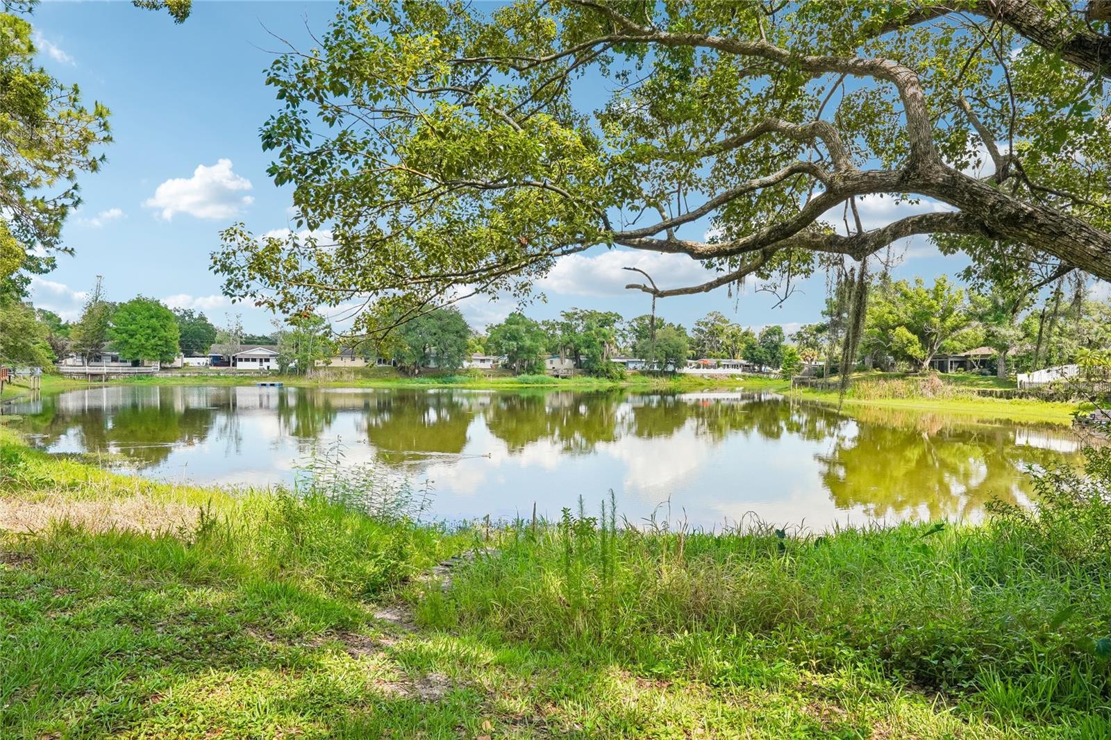 14927 HARDY DR W, TAMPA, FL — photo 3