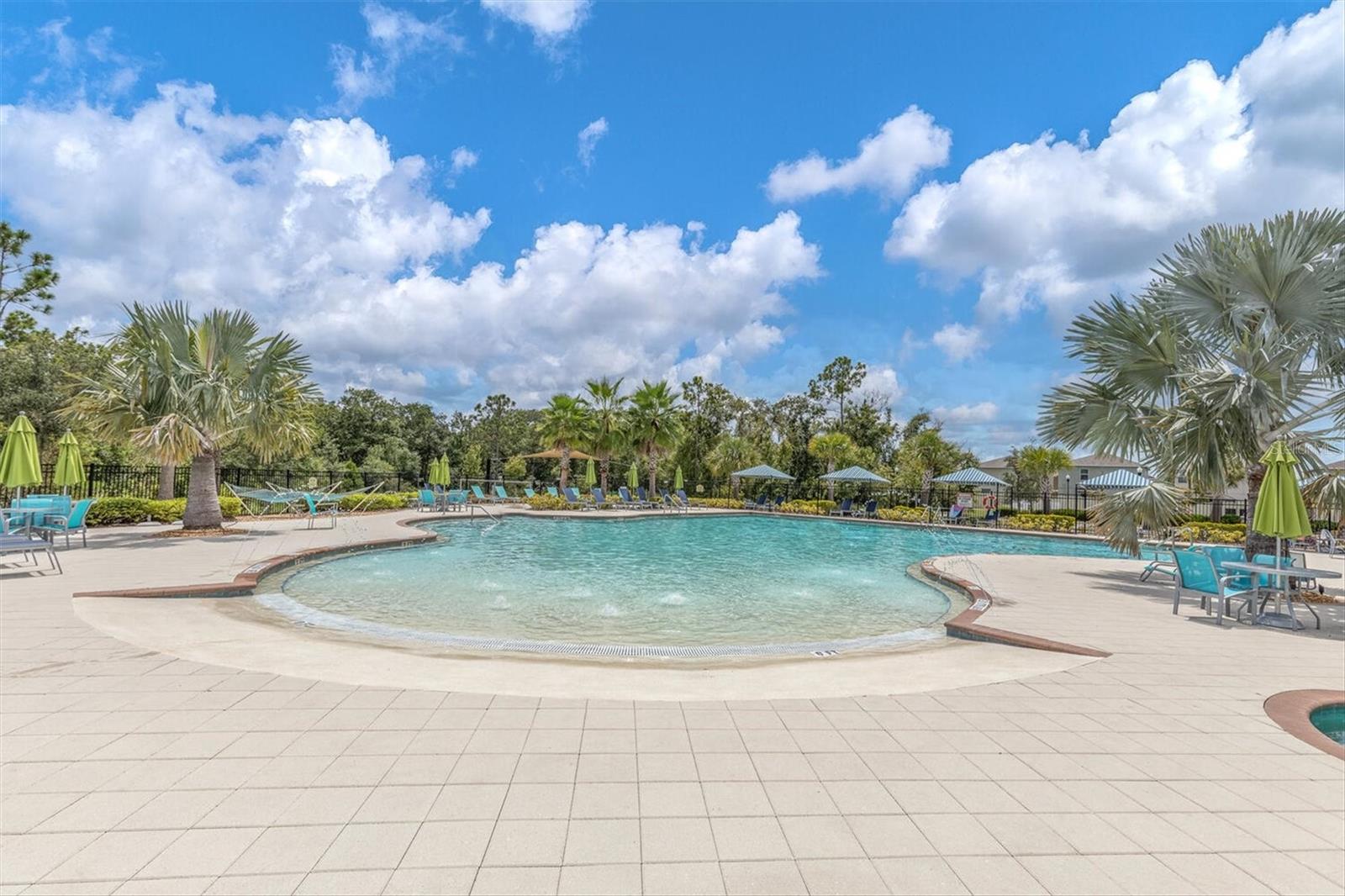 17070 OVAL RUM DR, WIMAUMA, FL — photo 3