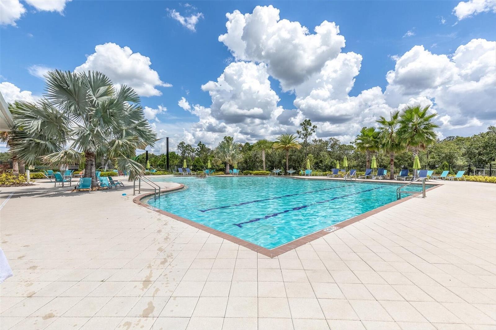 17070 OVAL RUM DR, WIMAUMA, FL — photo 40