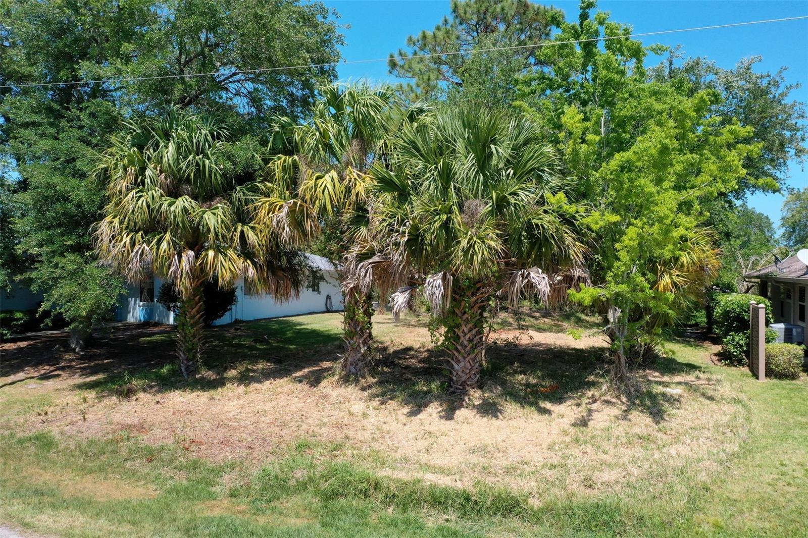 6 CORONA CT, PALM COAST, FL — photo 3