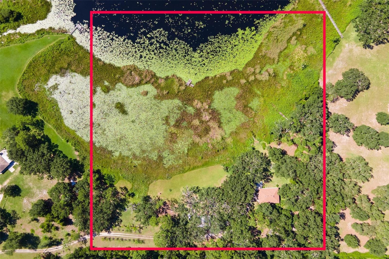 26833 ANDERSON RANCH RD, YALAHA, FL — photo 82
