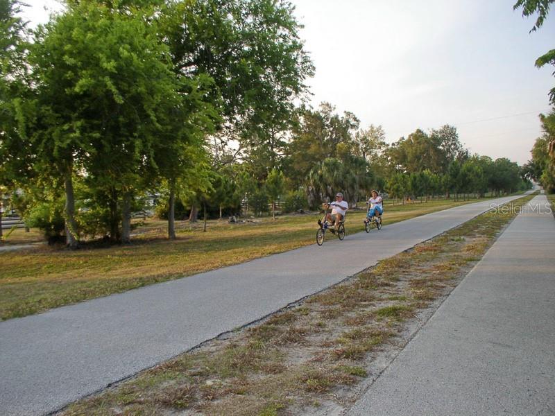 2700 BAYSHORE BLVD #3205, DUNEDIN, FL — photo 29