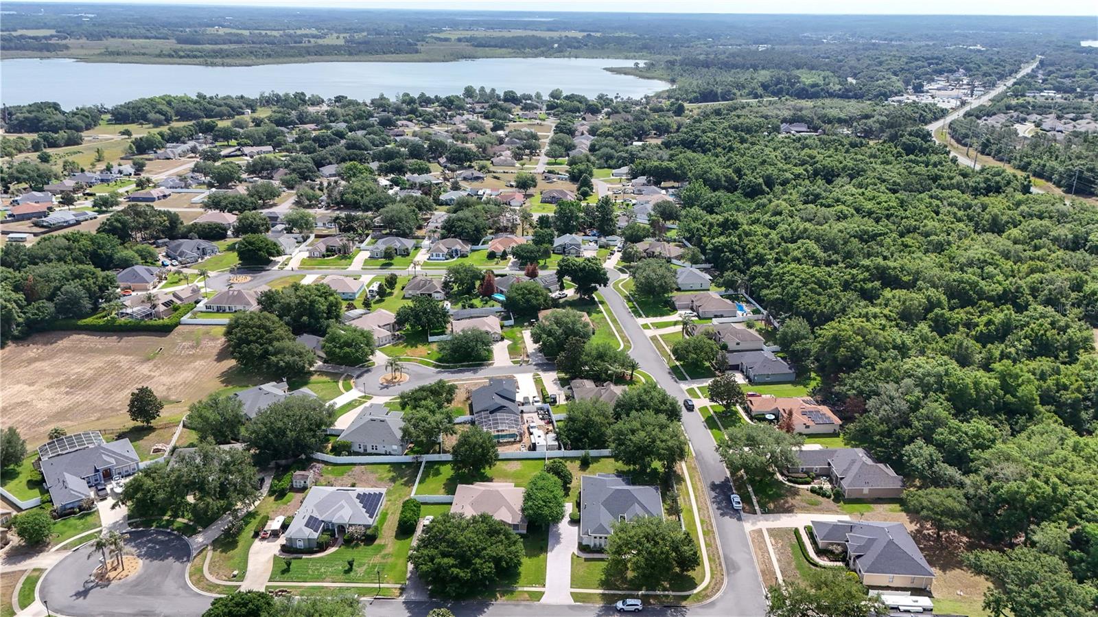36806 WINFIELD CT, GRAND ISLAND, FL — photo 71