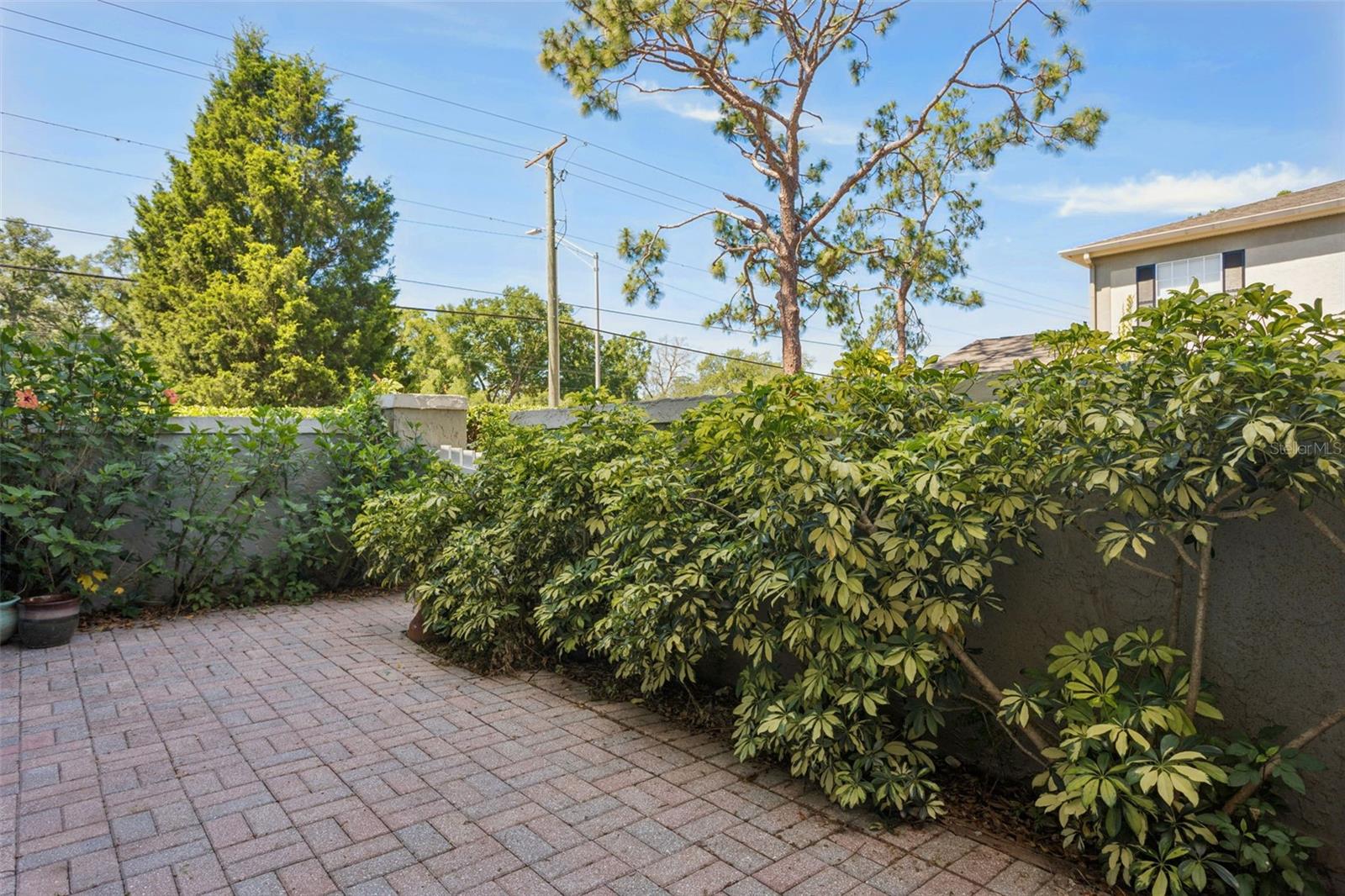 6341 TREETOP CIR #6341, TEMPLE TERRACE, FL — photo 19