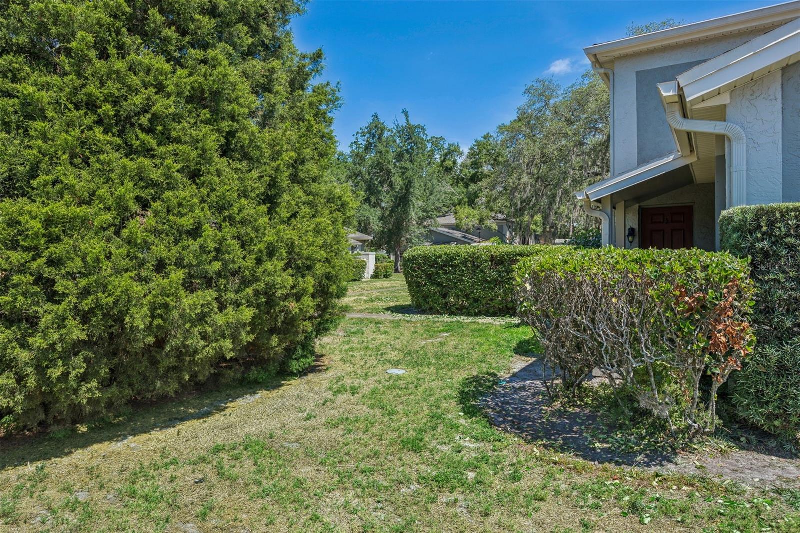 6341 TREETOP CIR #6341, TEMPLE TERRACE, FL — photo 21