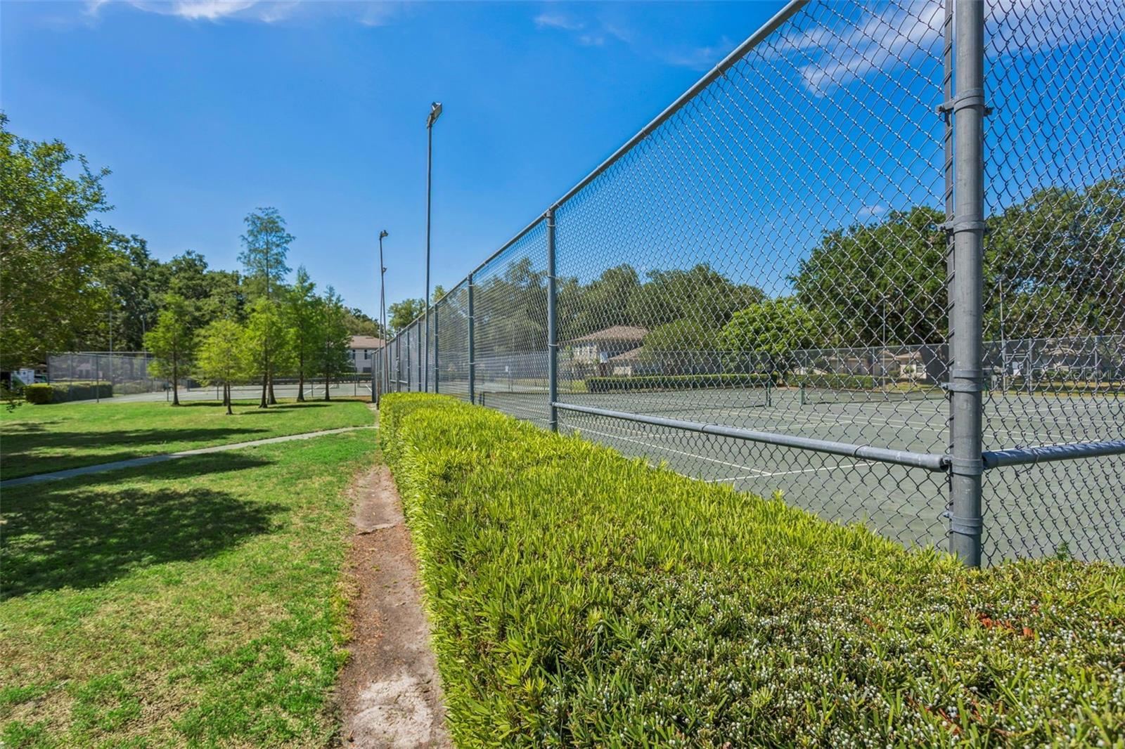 6341 TREETOP CIR #6341, TEMPLE TERRACE, FL — photo 24