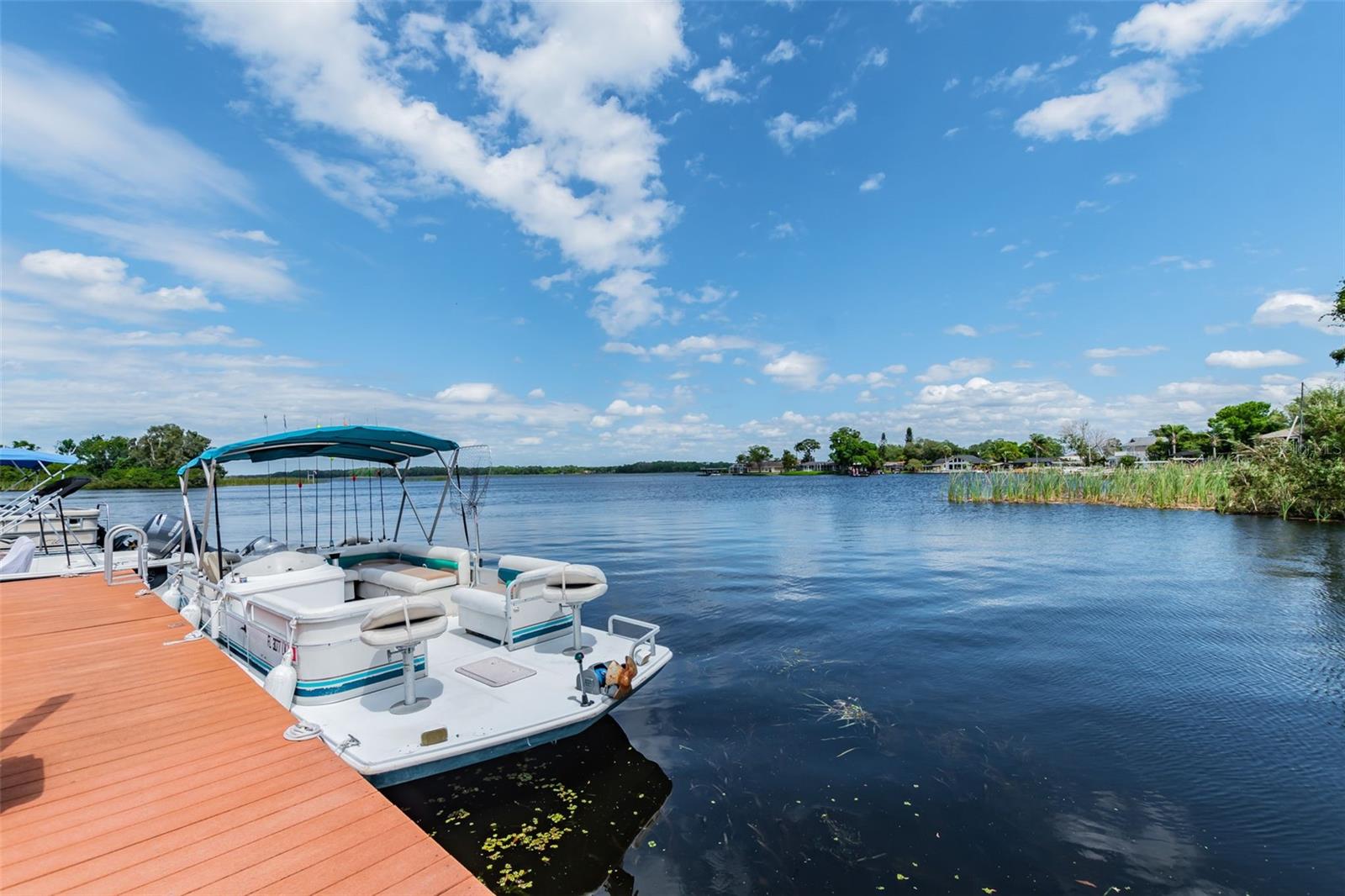 2599 DOLLY BAY DR #302, PALM HARBOR, FL — photo 31