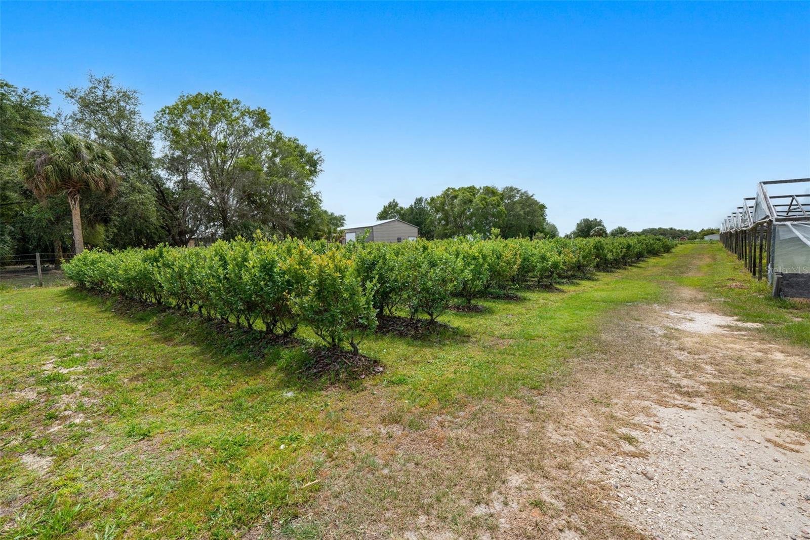 3510 WALK IN WATER RD, LAKE WALES, FL — photo 15