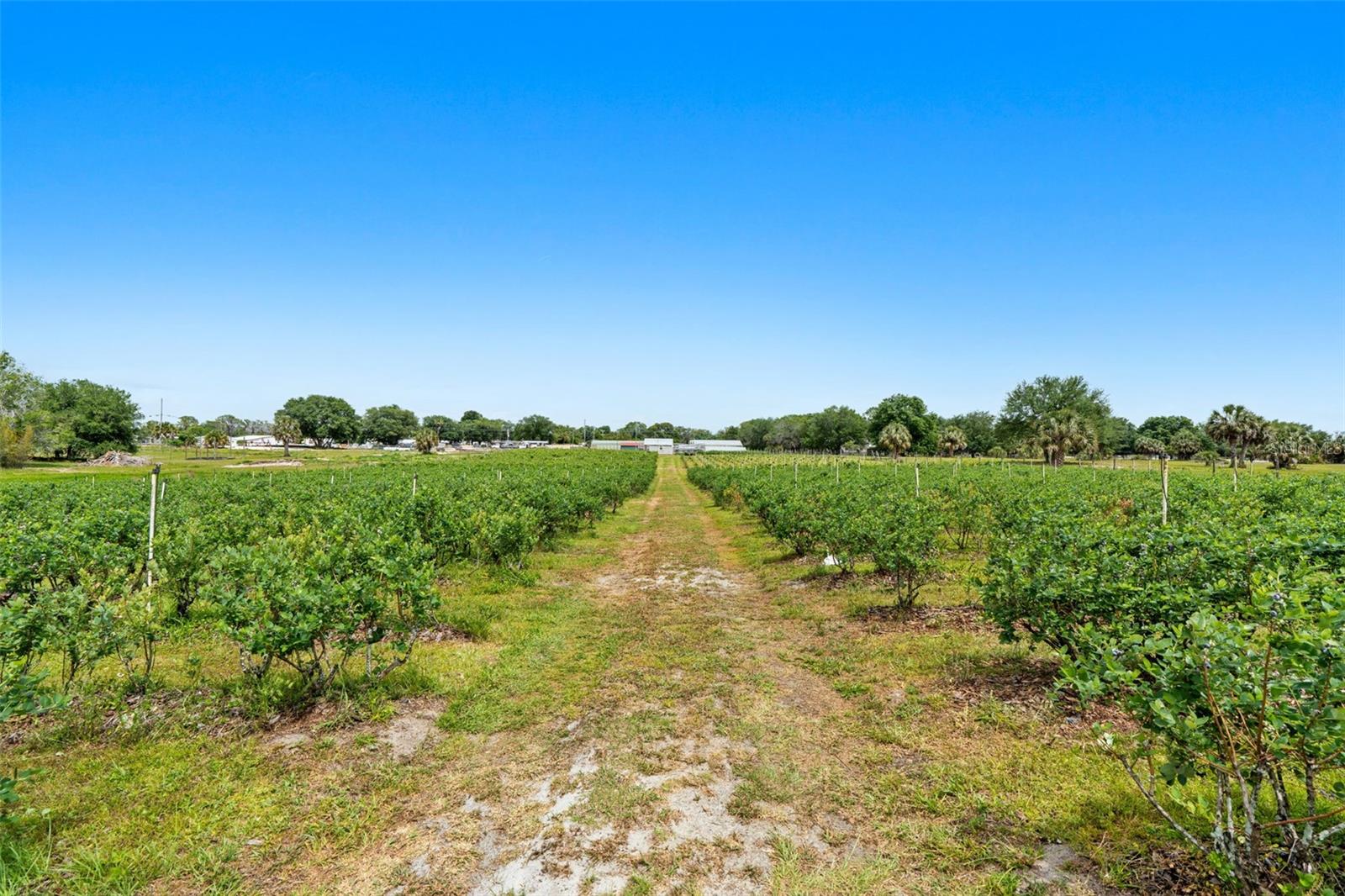 3510 WALK IN WATER RD, LAKE WALES, FL — photo 18