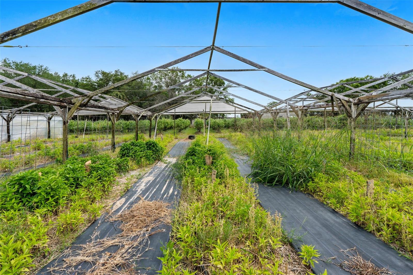 3510 WALK IN WATER RD, LAKE WALES, FL — photo 21
