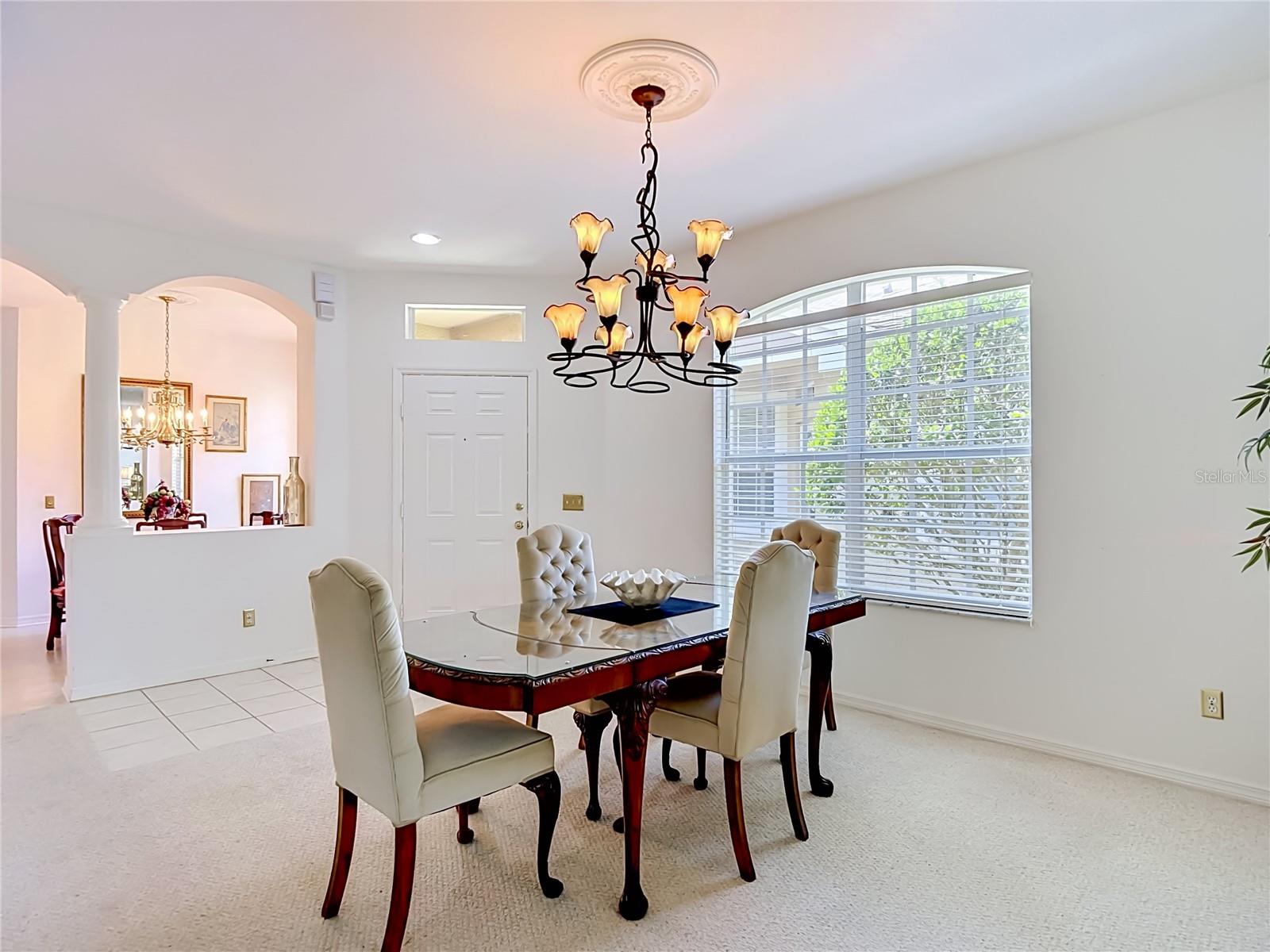 19180 LAKE AUDUBON DR, TAMPA, FL — photo 6