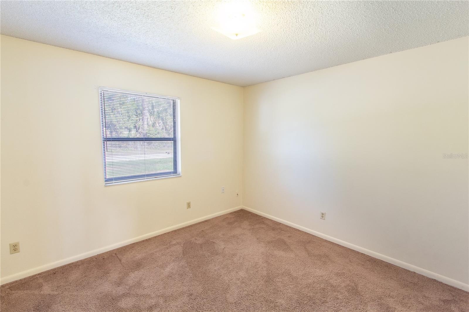 709 MOSLEY RD, LAKE ALFRED, FL — photo 12