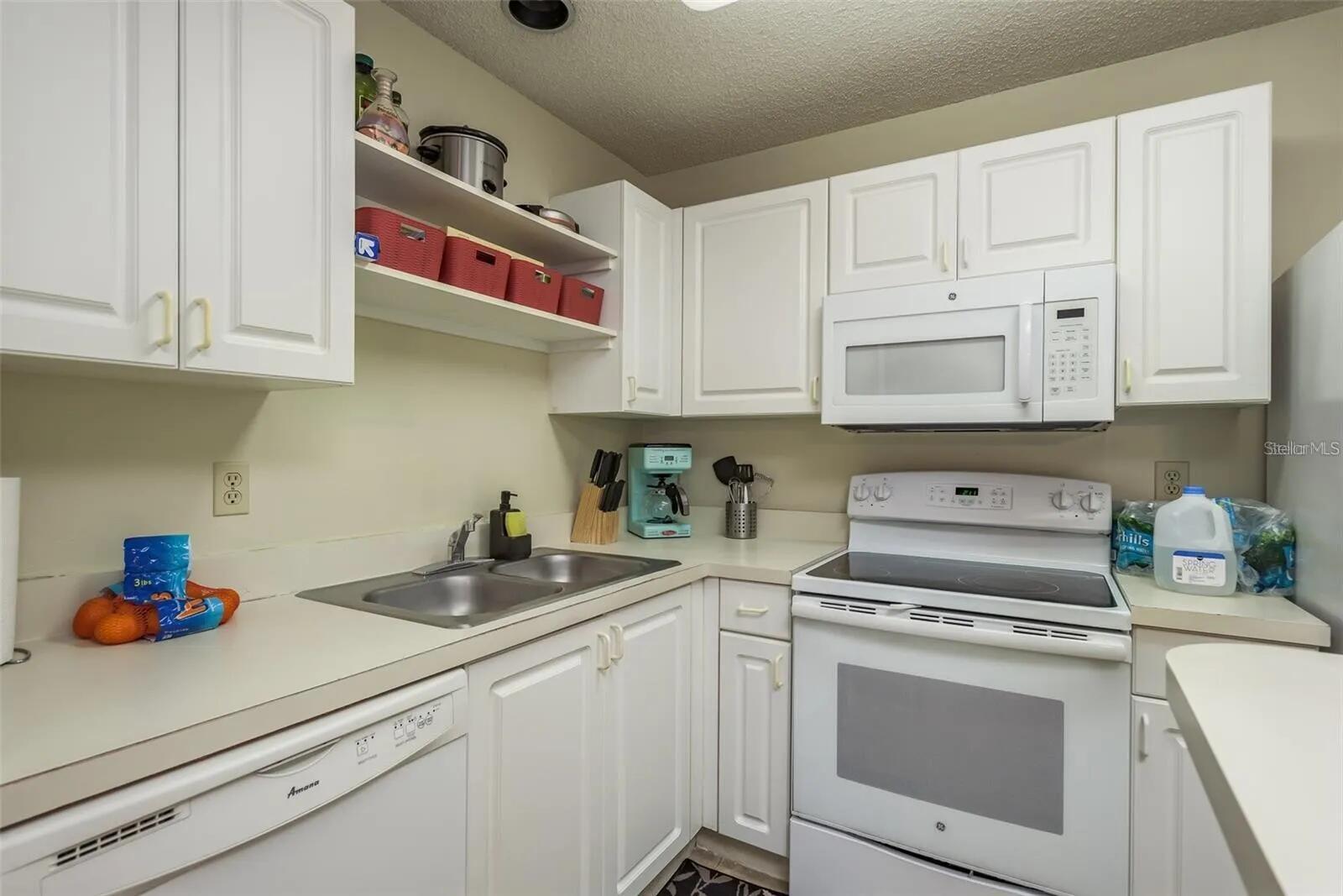4107 CHATHAM OAK CT #313, TAMPA, FL — photo 10