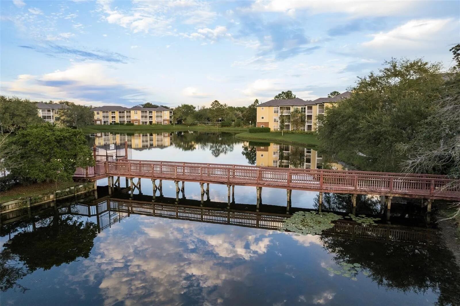 4107 CHATHAM OAK CT #313, TAMPA, FL — photo 22