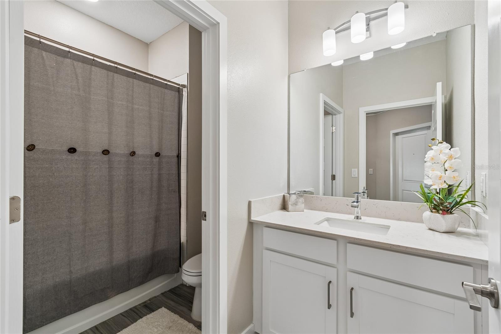 9911 CAMPANULA CT, LAND O LAKES, FL — photo 6