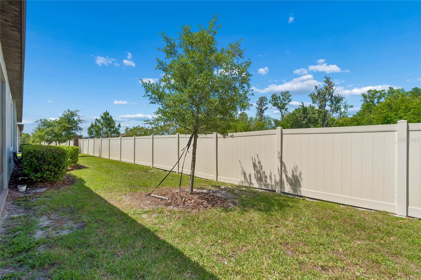 9911 CAMPANULA CT, LAND O LAKES, FL — photo 29