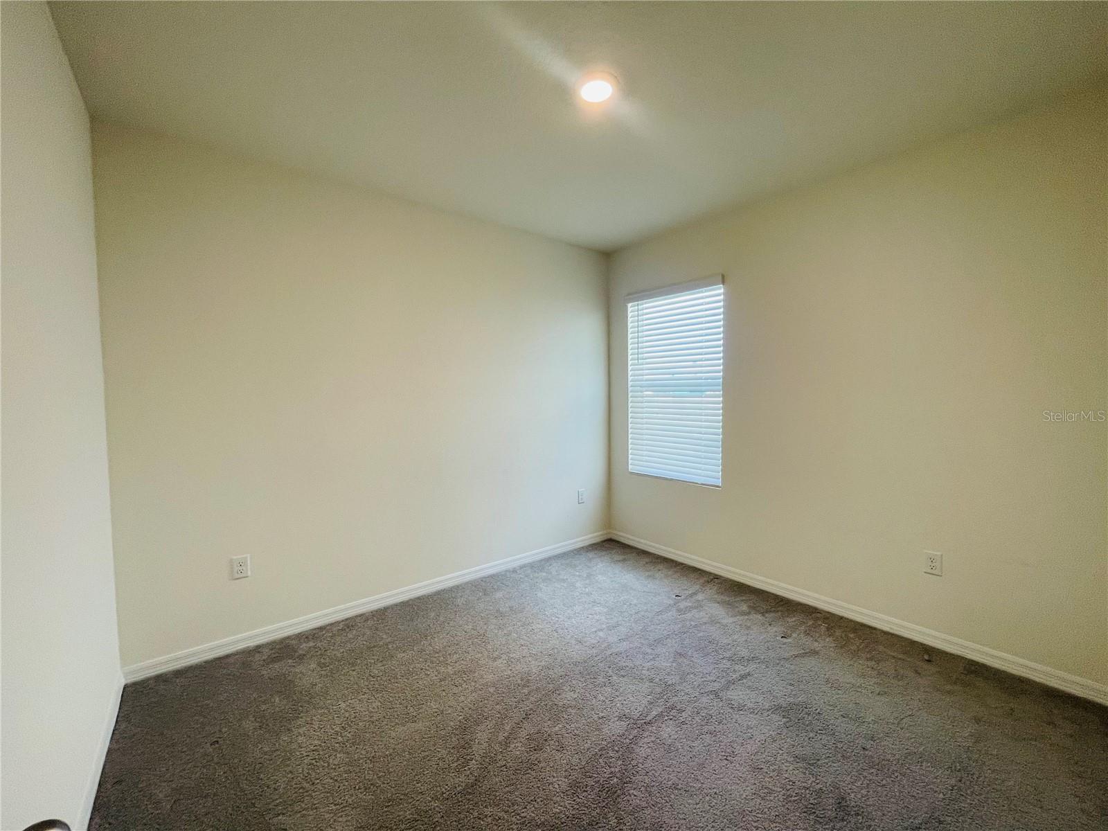 17043 OVAL RUM DR, WIMAUMA, FL — photo 12