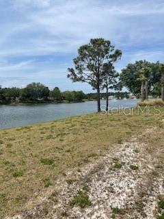 699 MAHOGANY RUN, PALM COAST, FL — photo 2