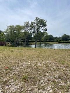 699 MAHOGANY RUN, PALM COAST, FL — photo 3