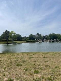 699 MAHOGANY RUN, PALM COAST, FL — photo 4