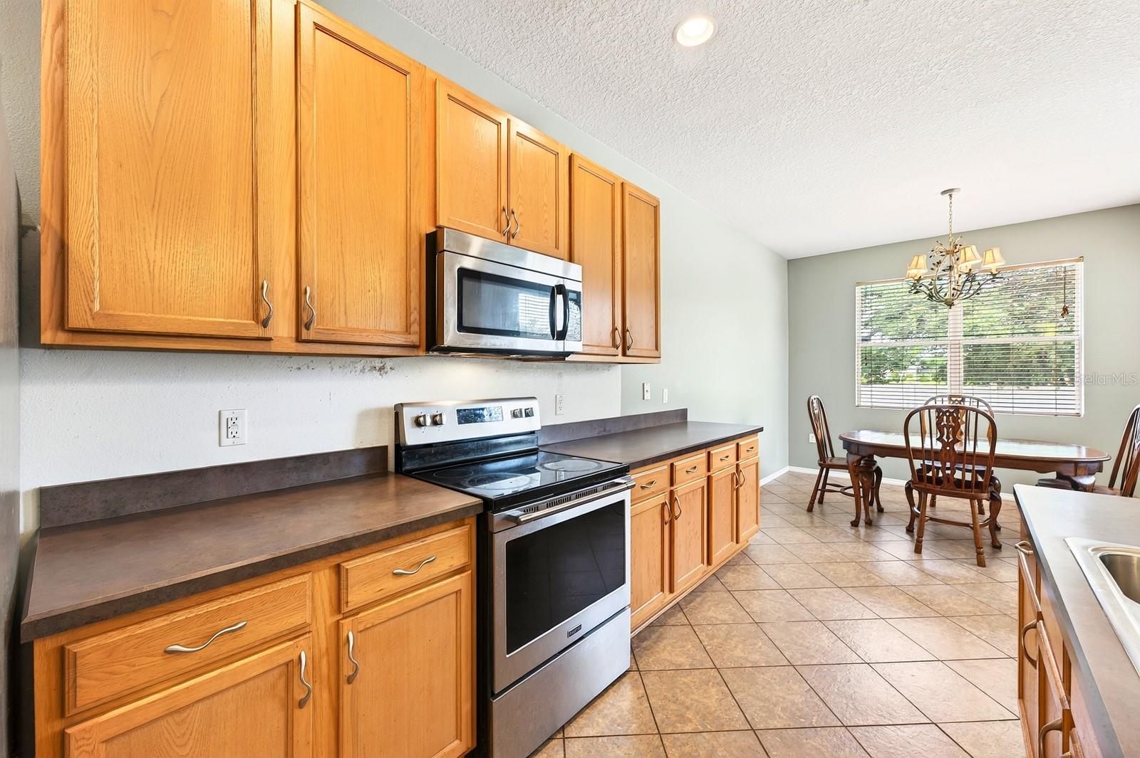 1681 STRATHMORE CIR, MOUNT DORA, FL — photo 23
