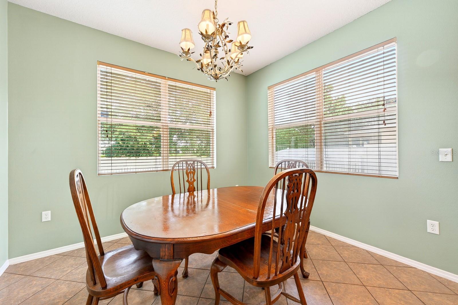 1681 STRATHMORE CIR, MOUNT DORA, FL — photo 31