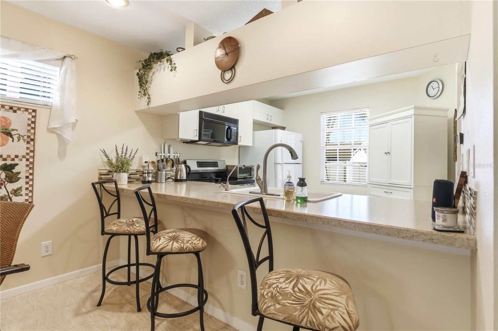 9034 LAKE PLACE LN #9034, TAMPA, FL — photo 10
