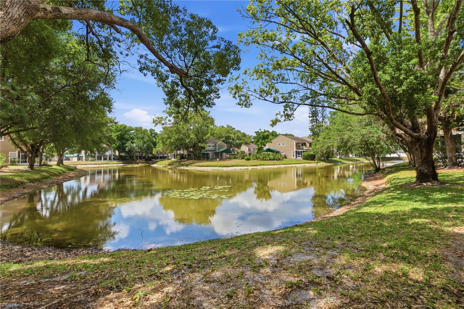 9034 LAKE PLACE LN #9034, TAMPA, FL — photo 44