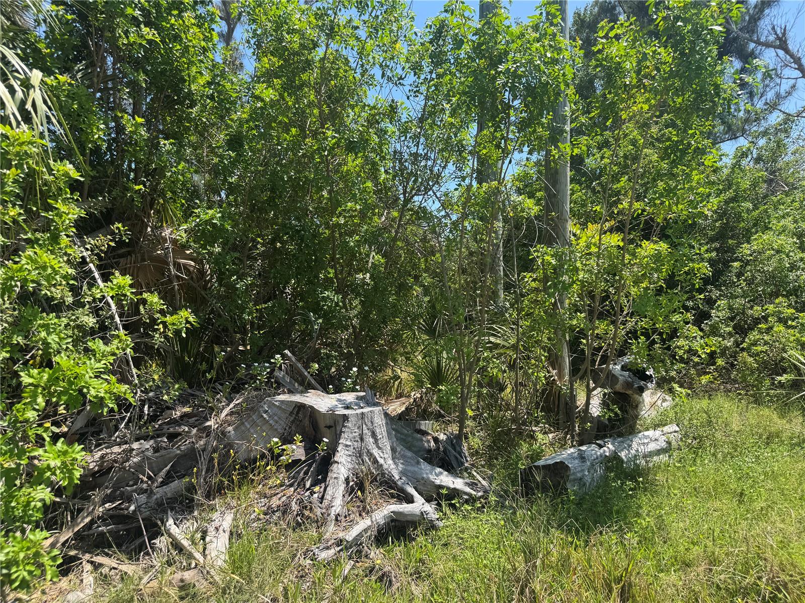 8992 SEAGRAPE LN, PLACIDA, FL — photo 6