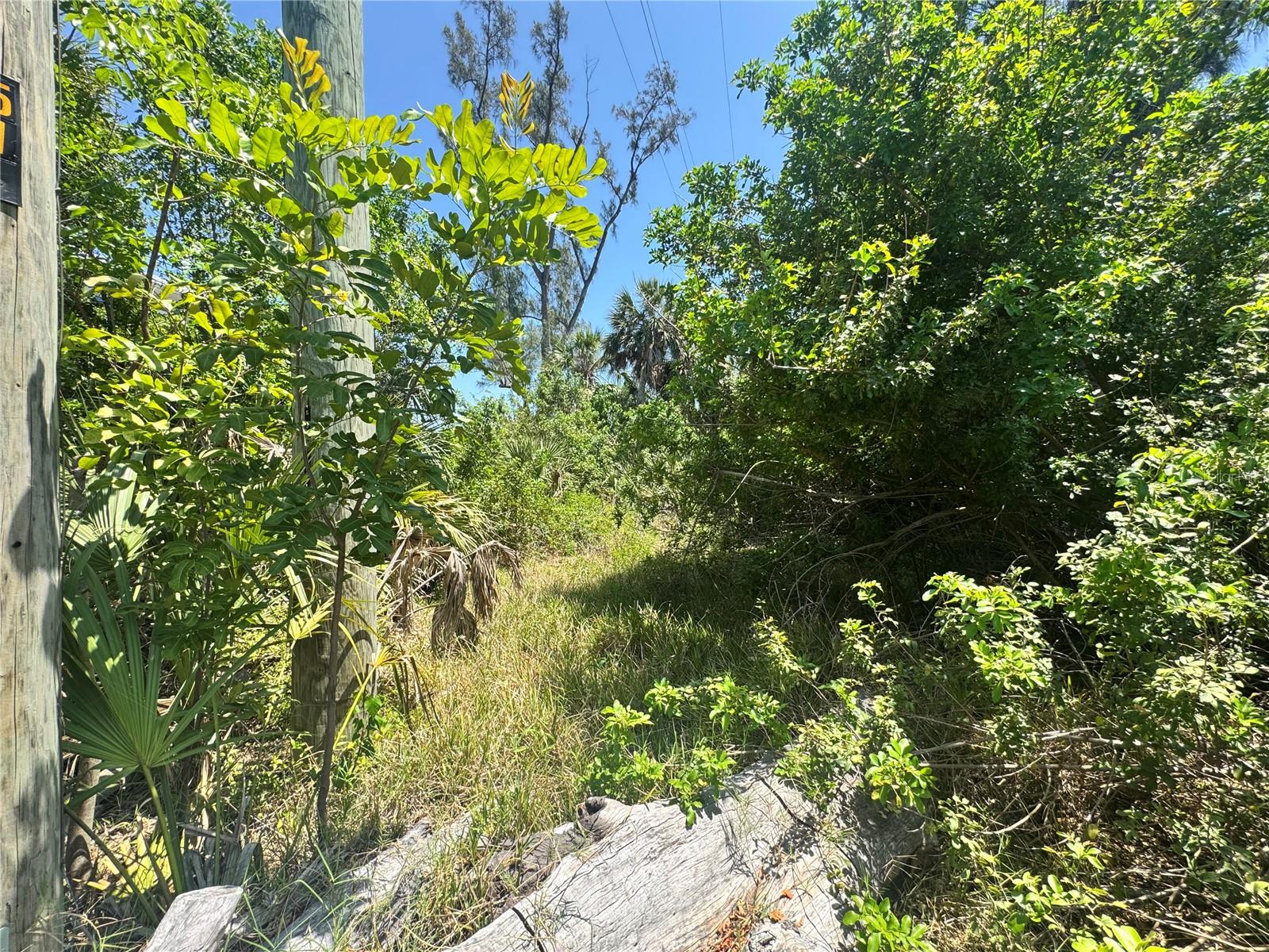 8992 SEAGRAPE LN, PLACIDA, FL — photo 10