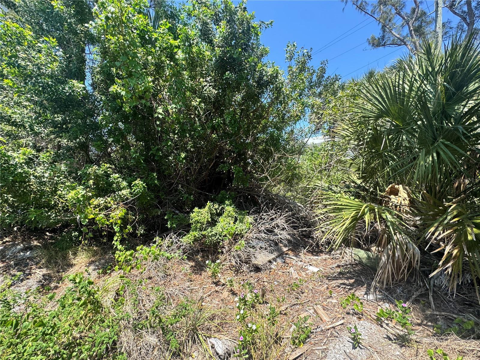 8992 SEAGRAPE LN, PLACIDA, FL — photo 13