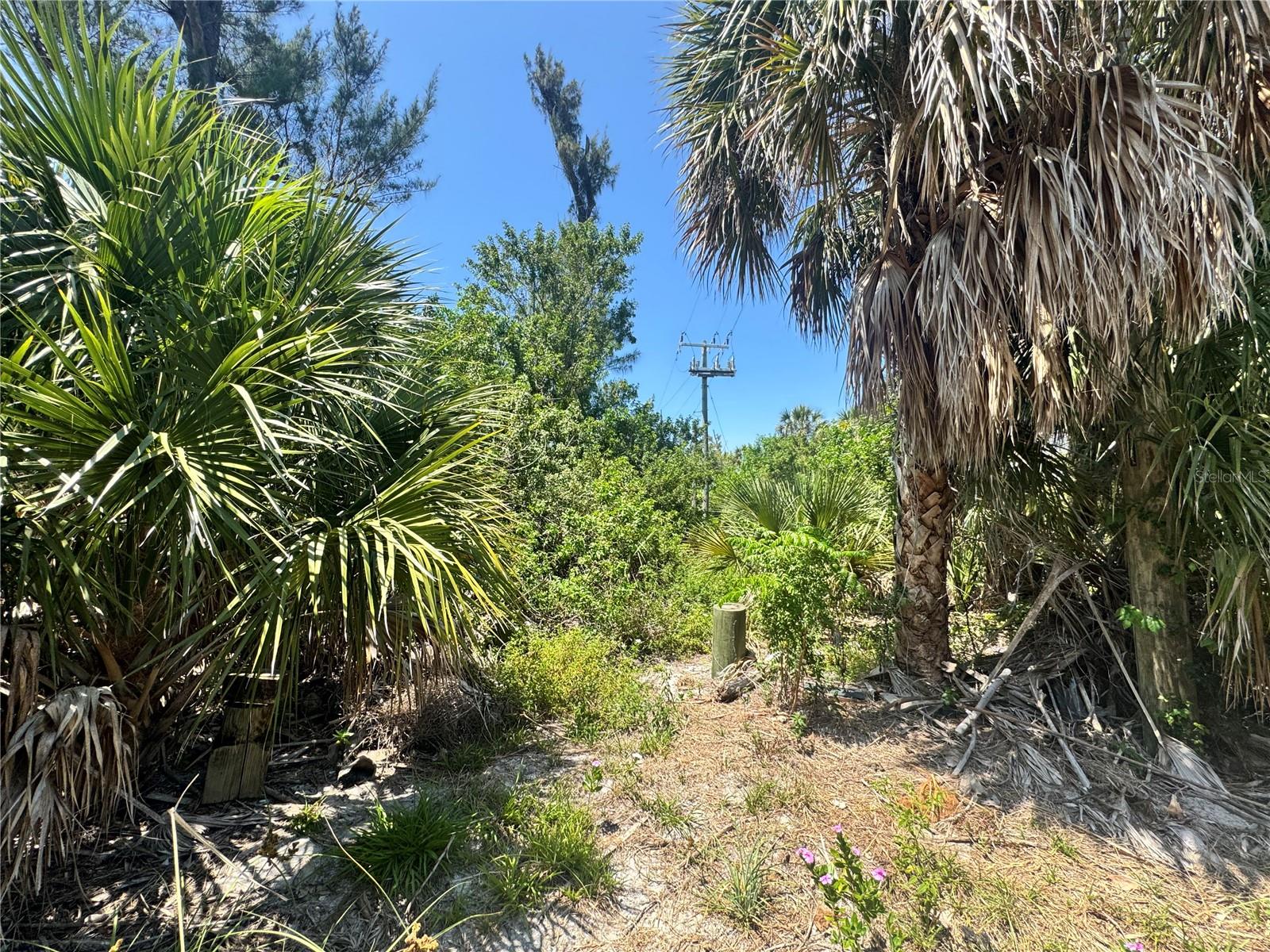 8992 SEAGRAPE LN, PLACIDA, FL — photo 14
