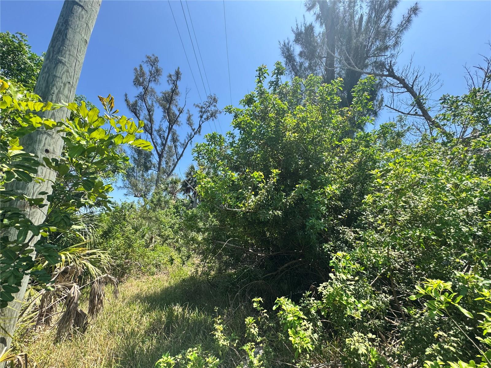 8992 SEAGRAPE LN, PLACIDA, FL — photo 11
