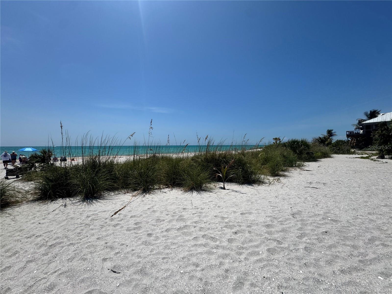 8992 SEAGRAPE LN, PLACIDA, FL — photo 20