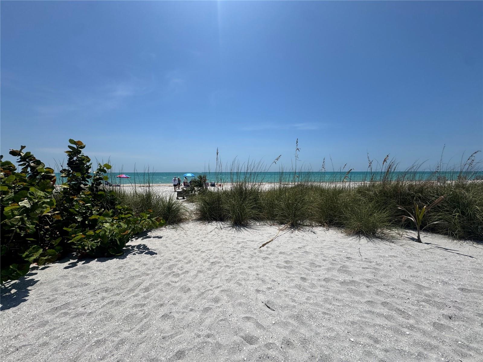 8992 SEAGRAPE LN, PLACIDA, FL — photo 18