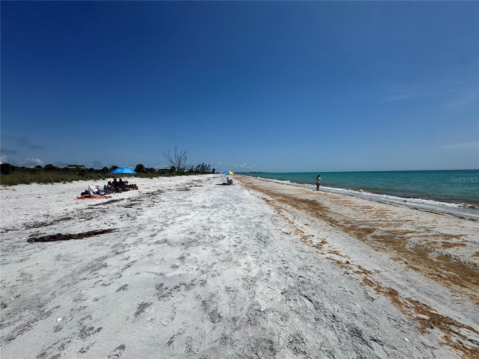8992 SEAGRAPE LN, PLACIDA, FL — photo 23