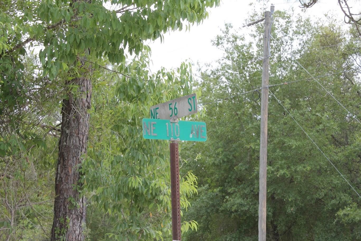 NE 56TH ST, BRONSON, FL — photo 6