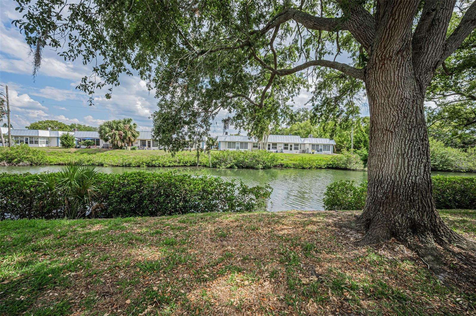 4200 HAMPTON DR, NEW PORT RICHEY, FL — photo 2