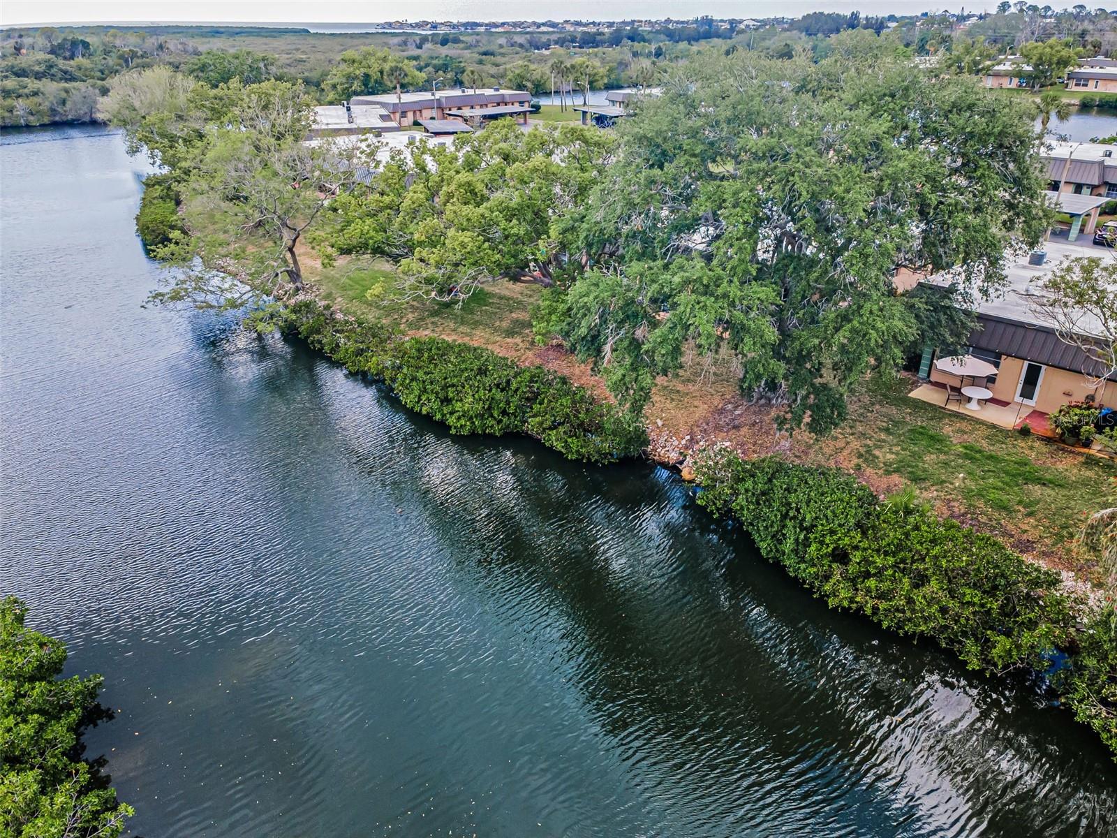 4200 HAMPTON DR, NEW PORT RICHEY, FL — photo 49