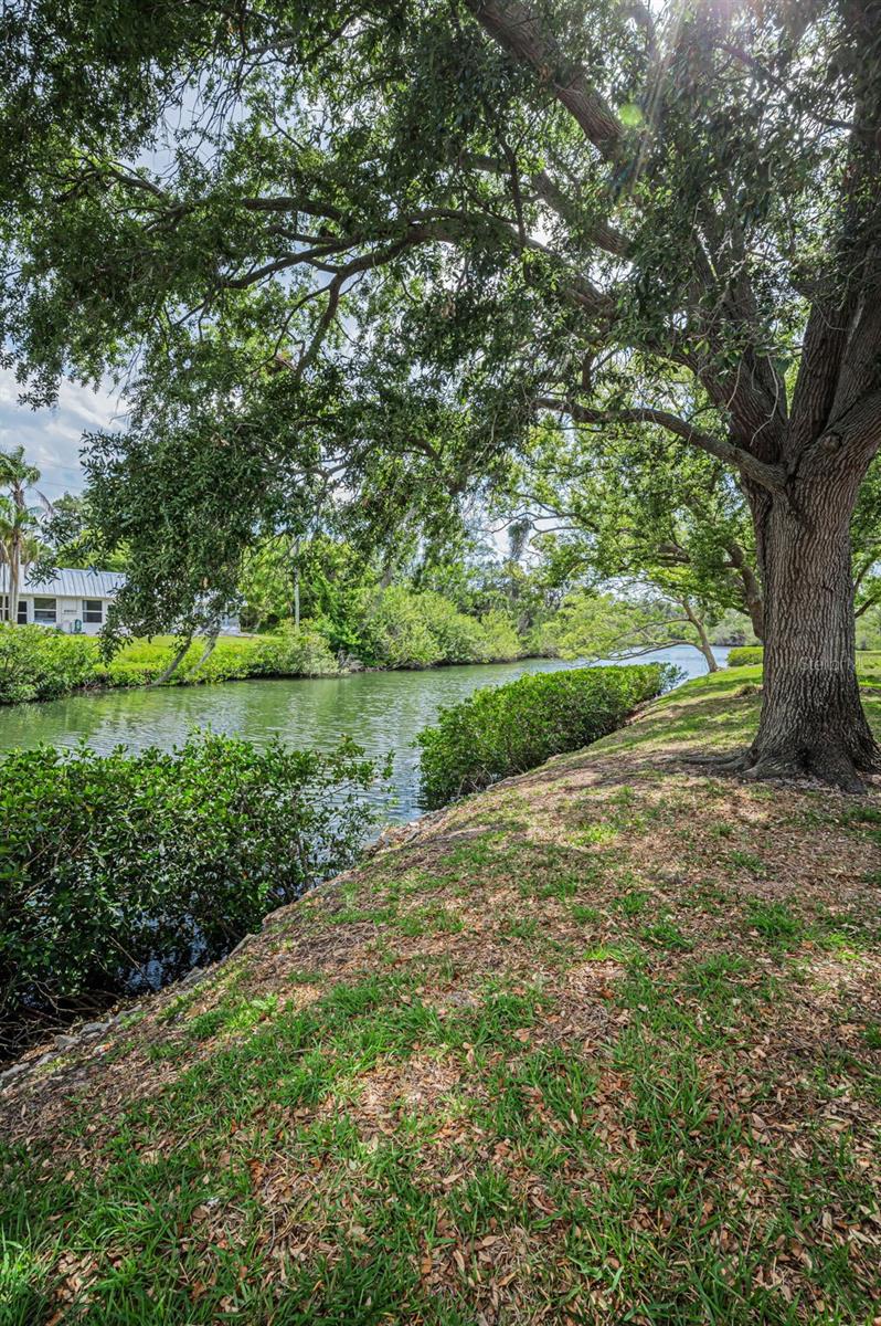4200 HAMPTON DR, NEW PORT RICHEY, FL — photo 50