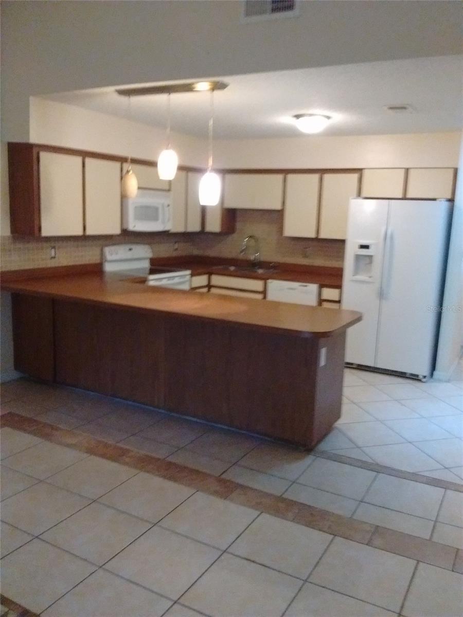 4033 ANNA DR, APOPKA, FL — photo 3