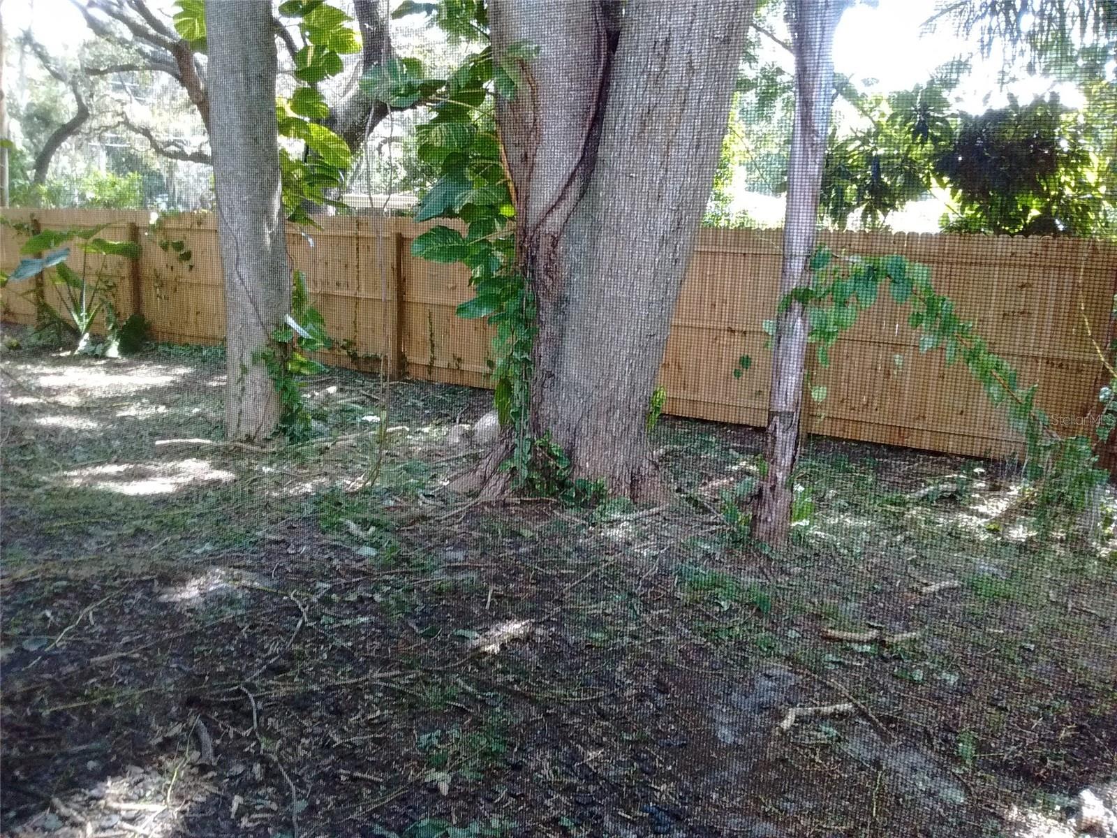 4033 ANNA DR, APOPKA, FL — photo 13