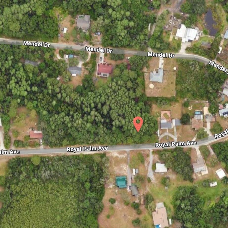 9805 ROYAL PALM AVE, NEW PORT RICHEY, FL